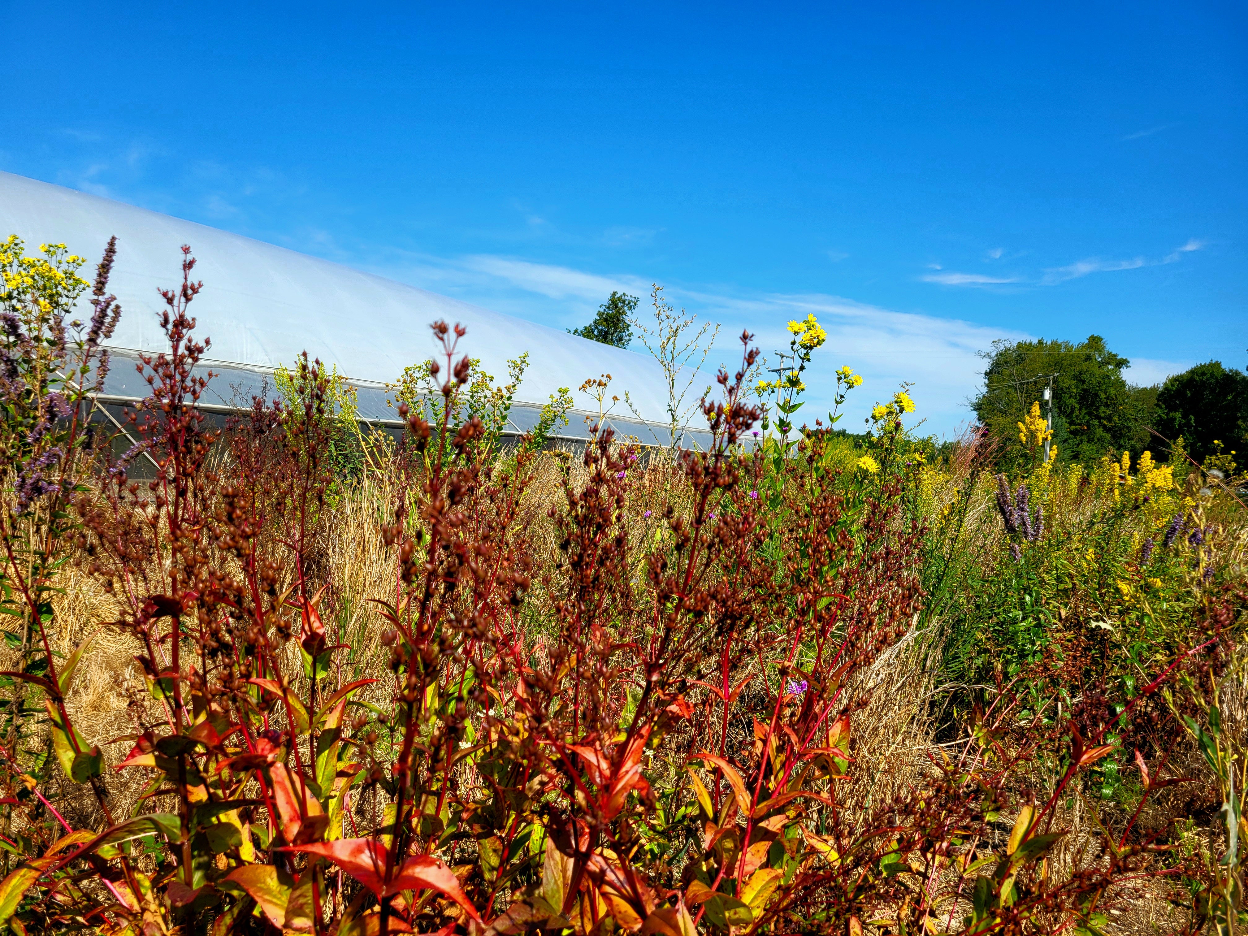 files/20250903_112518.jpg files/20250903_112518.jpg