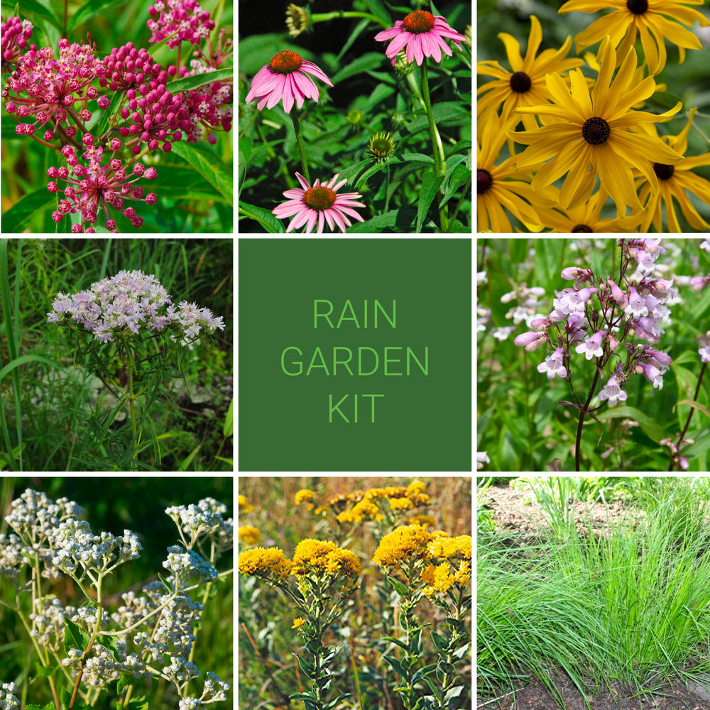 Garden Kits – New Leaf Natives