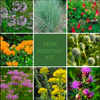 Deer Resistant Garden Kit