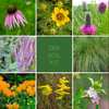 Dry Soil Garden Kit