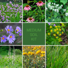 Medium Soil Garden Kit