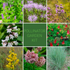 Pollinator Garden Kit
