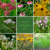 Rain Garden Kit