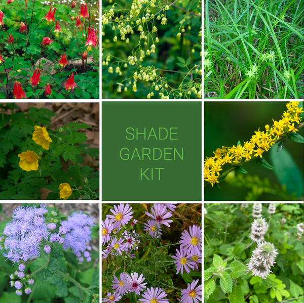 Shade Garden Kit New Leaf Natives