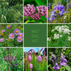 Wet Soil Garden Kit