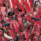 Viburnum lentago - Nannyberry Viburnum - 1 Gallon Pot